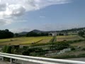 動画:tonbikurukuru